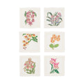 Orchid Cocktail Napkins in White & Multi by Kim Seybert