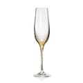 Orion Champagne Glass in Gold by Kim Seybert
