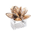 Beachcomber Napkin Ring in Natural by Kim Seybert