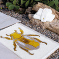 Beatle Bath Rugs by Graccioza