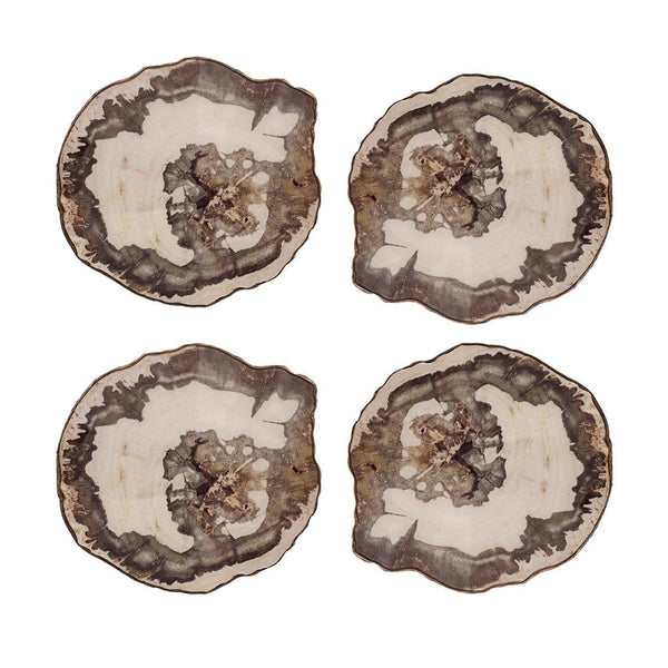 Petrified Wood Coasters