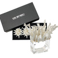 Amalfi Napkin Rings in White by Kim Seybert