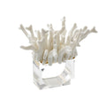 Amalfi Napkin Rings in White by Kim Seybert