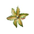 Palm Coast Napkin Ring in Green & Gold by Kim Seybert