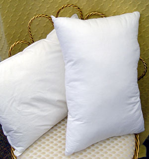 Downright White Goose Down Decorative Pillow Stuffers