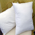 Boudoir Pillow Stuffer by Downright