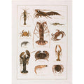 La Mer - Crostacei Tea Towel by Tessitura Toscana Telerie