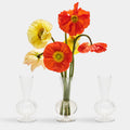 Tess Bud Vase in Clear