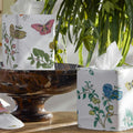 Baudin Butterfly Tissue Box Cover by Matouk