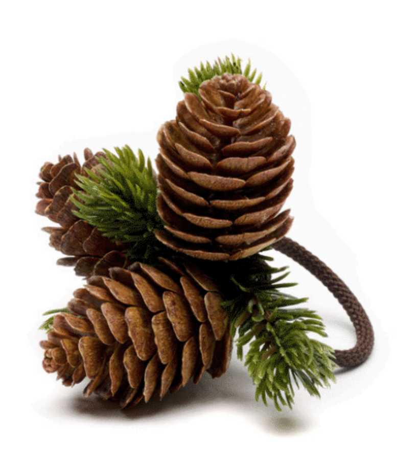 Brown Cone Cluster Napkin Ring by Deborah Rhodes