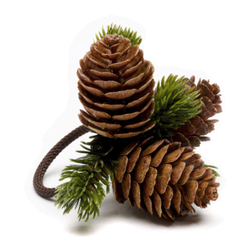 Brown Cone Cluster Napkin Ring by Deborah Rhodes