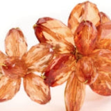 Topaz