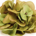 Harvest Hydrangea Napkin Ring by Deborah Rhodes