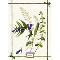 Fragrance Kitchen Towels by Tessitura Toscana Telerie