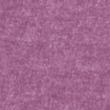 Allium