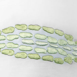 Cobblestones Decorative Pillow by SFERRA