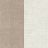 Oyster/Putty