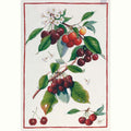 Demetra Tea Towels by Tessitura Toscana Telerie