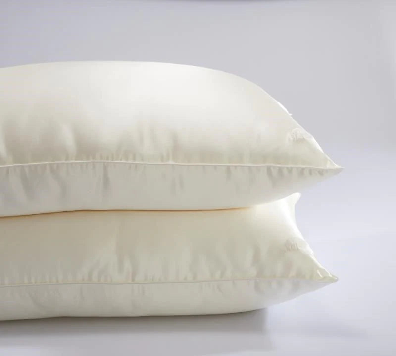 Silk Pillow with Silk Shell