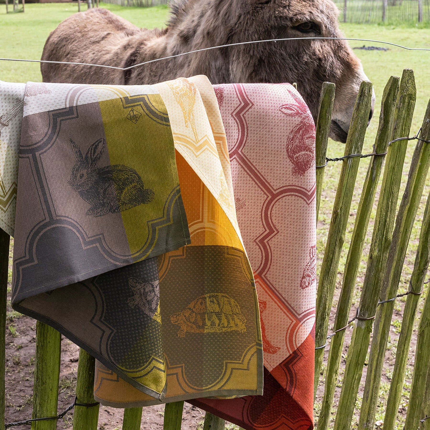 Jacquard francais tea best sale towels